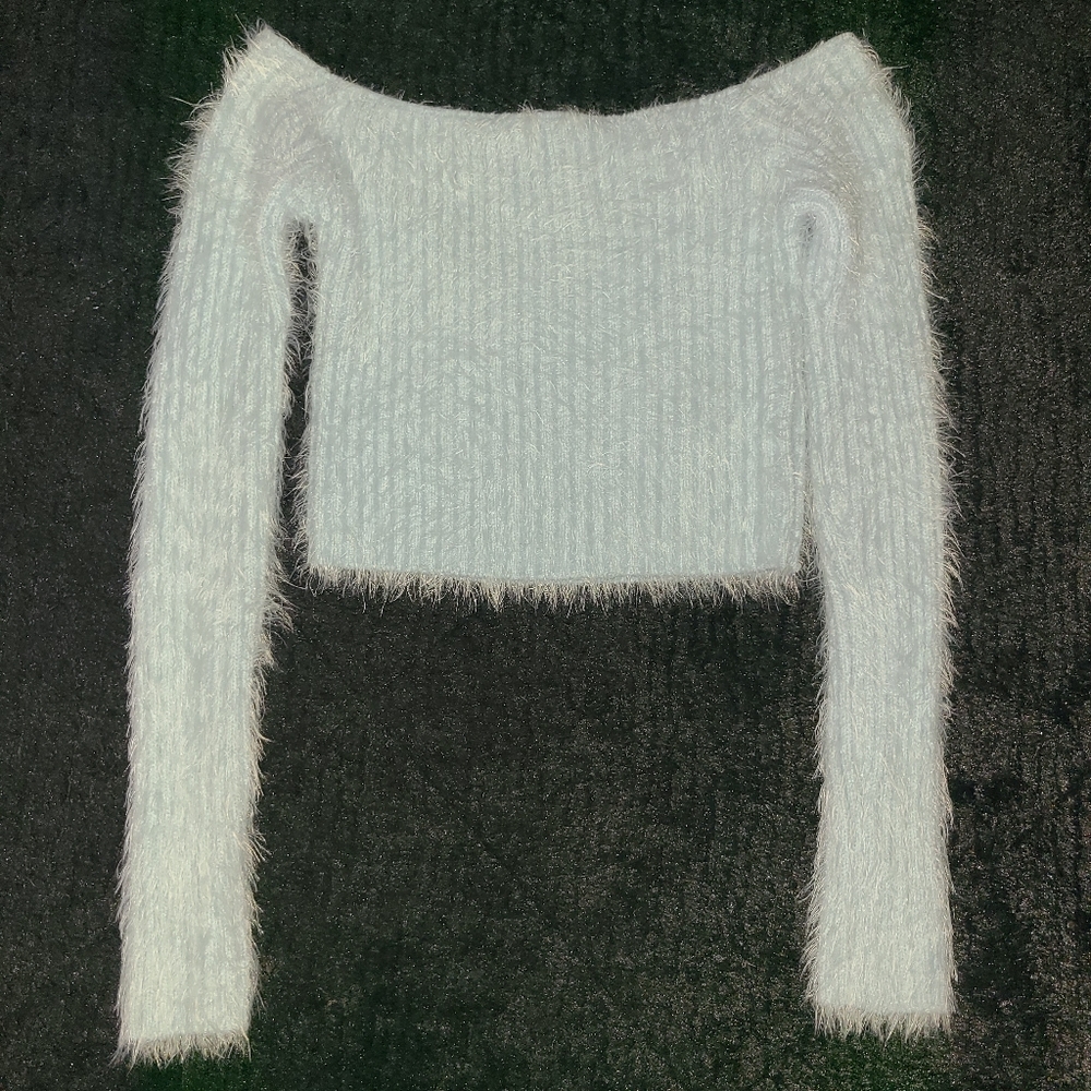 FOREVER21 CROP LONG SLEEVE